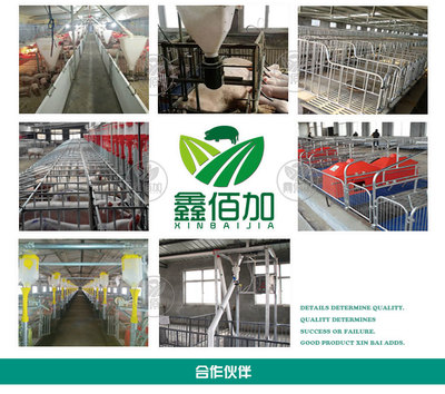 鑫佰加畜牧設(shè)備 專(zhuān)業(yè)打造犢牛用奶壺，助力高效養(yǎng)殖