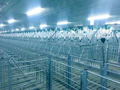 171天，見(jiàn)證希望速度 嘉祥7500頭母豬場(chǎng)項(xiàng)目順利竣工